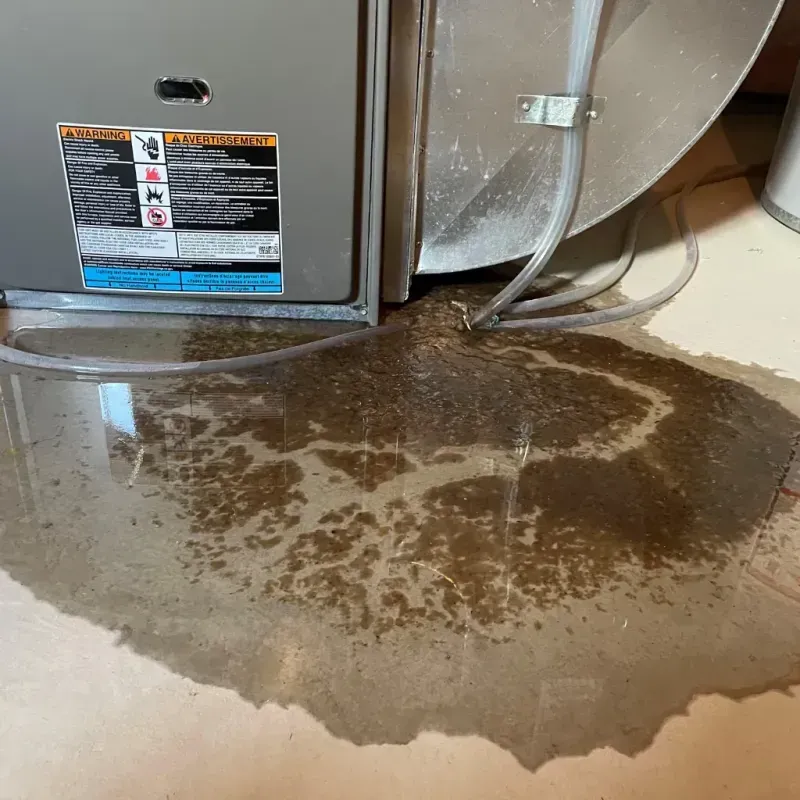 Appliance Leak Cleanup in Calhoun County, FL